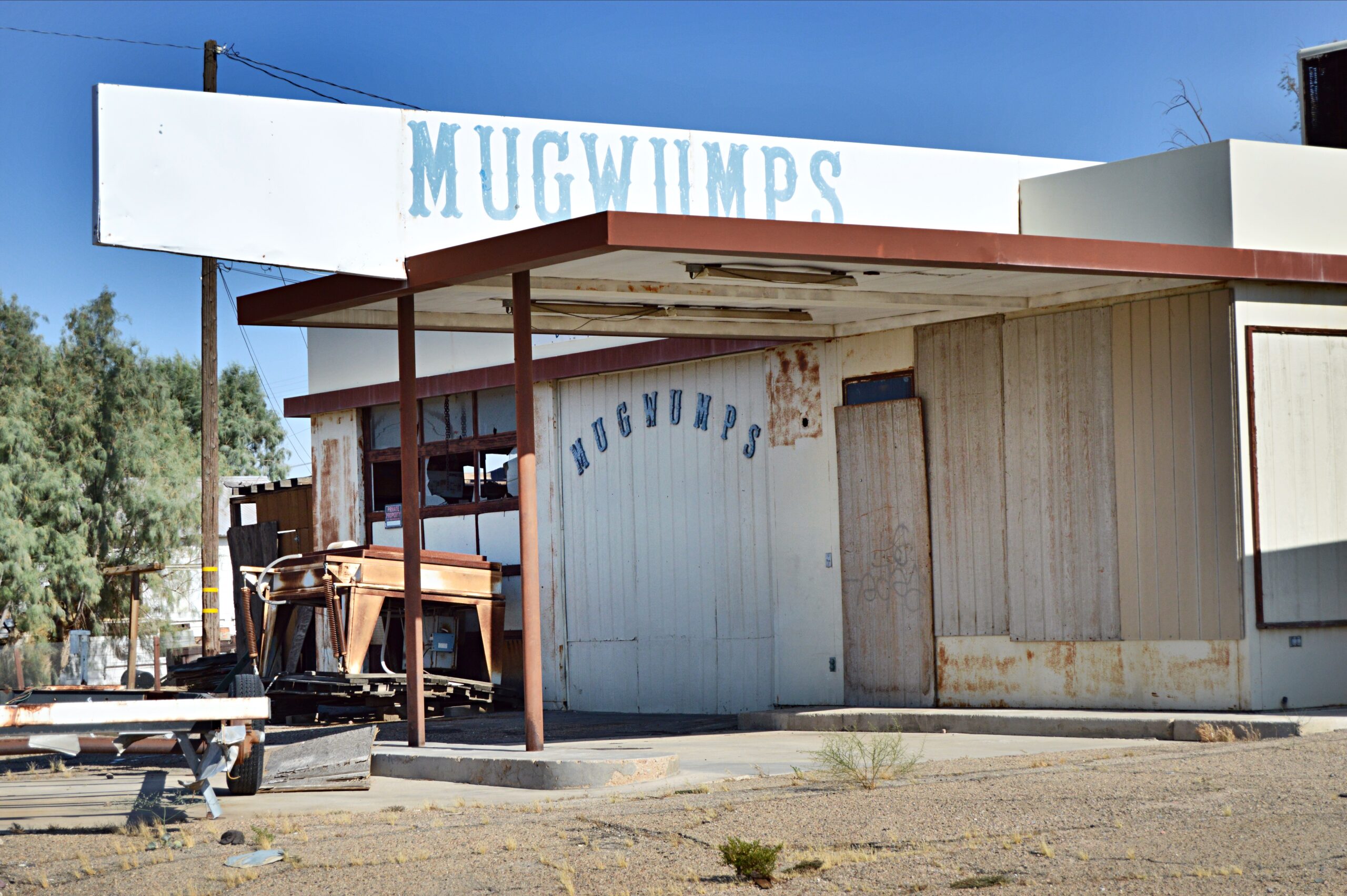 Daggett mugwamps daggett (1)