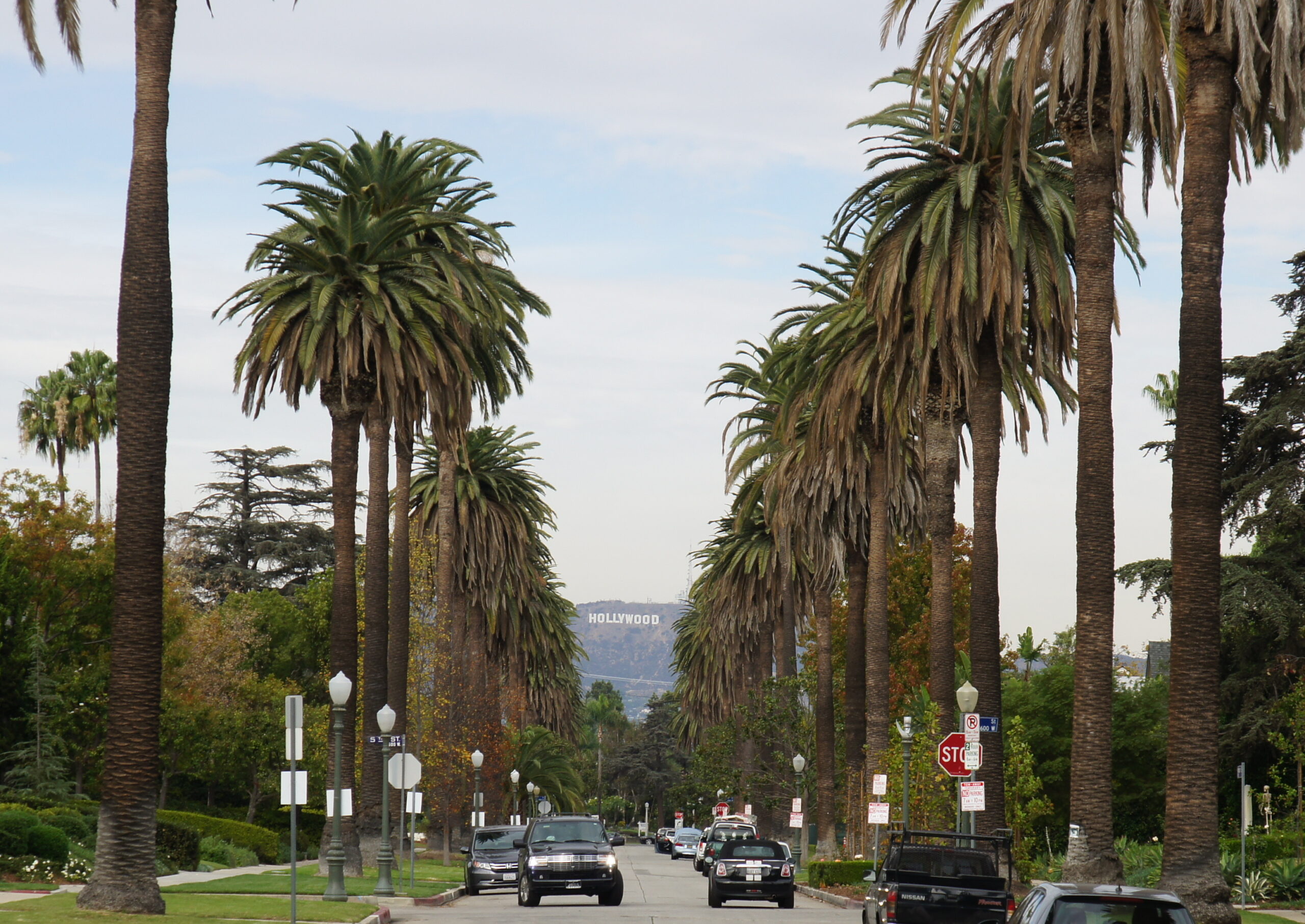 Hollywood Palms and Hollywood sign